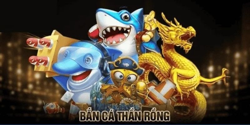 Khám phá khái niệm và những điểm nổi bật